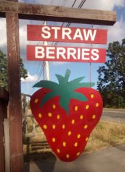 strawberry sign